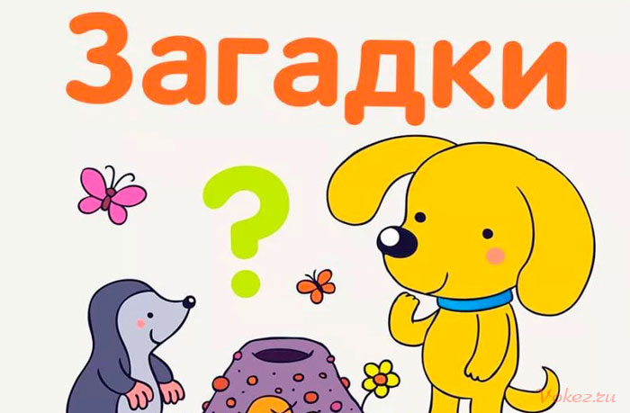 Загадки для детей