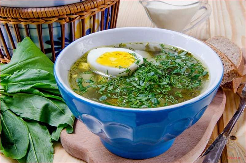 (приготовить, вкусный, зеленый, борщ, щавелем) Как приготовить вкусный зеленый борщ со щавелем — рецепт и секреты