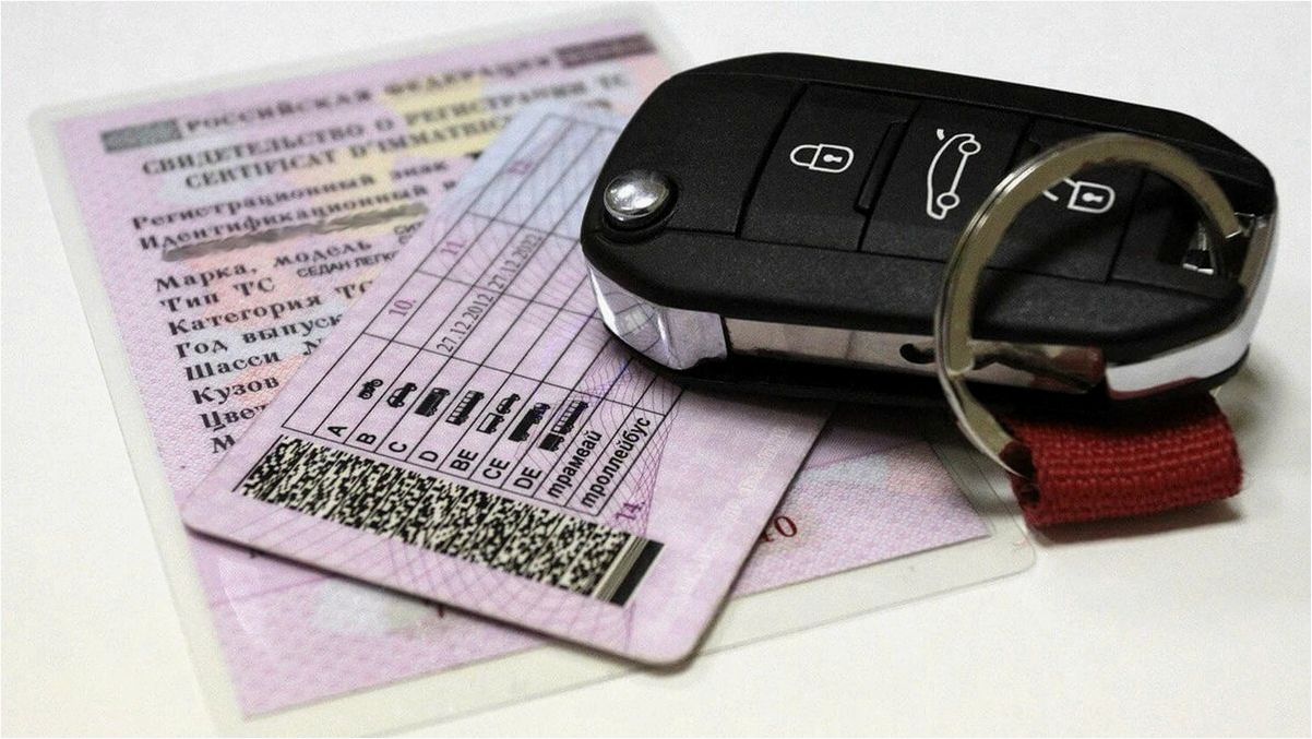 (права, категории) Права категории «D1»