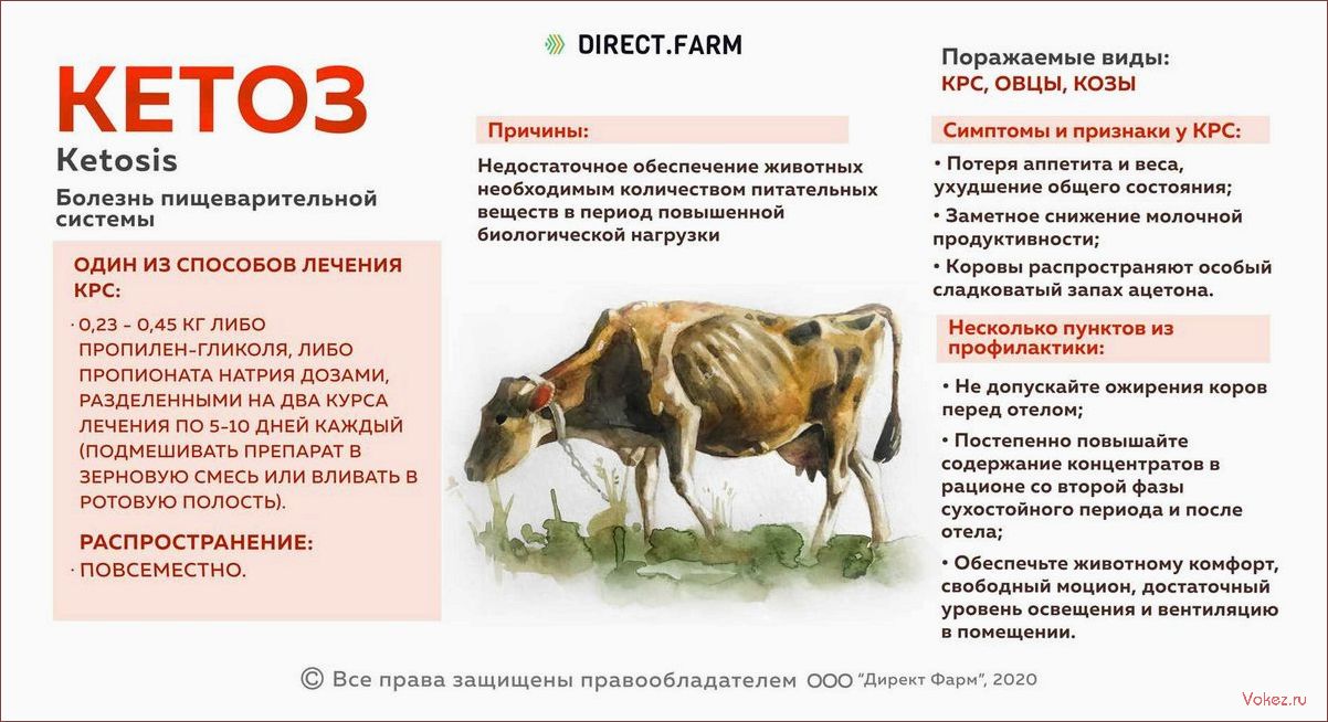 (препараты, лечения, крупного, рогатого, скота) Препараты для лечения крупного рогатого скота