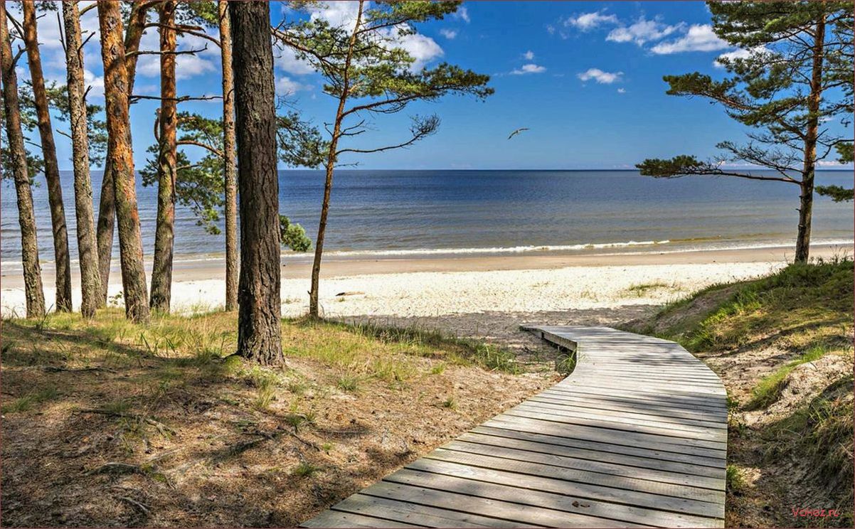 Лучшие курорты Балтийского моря — идеальное место для отдыха и восстановления сил