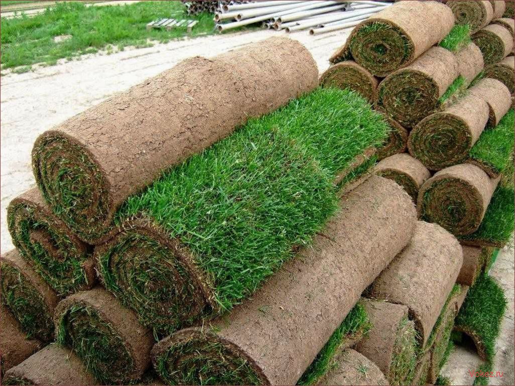 (рулонный, газон, производителя, качество, надежность) Рулонный газон от производителя: качество и надежность