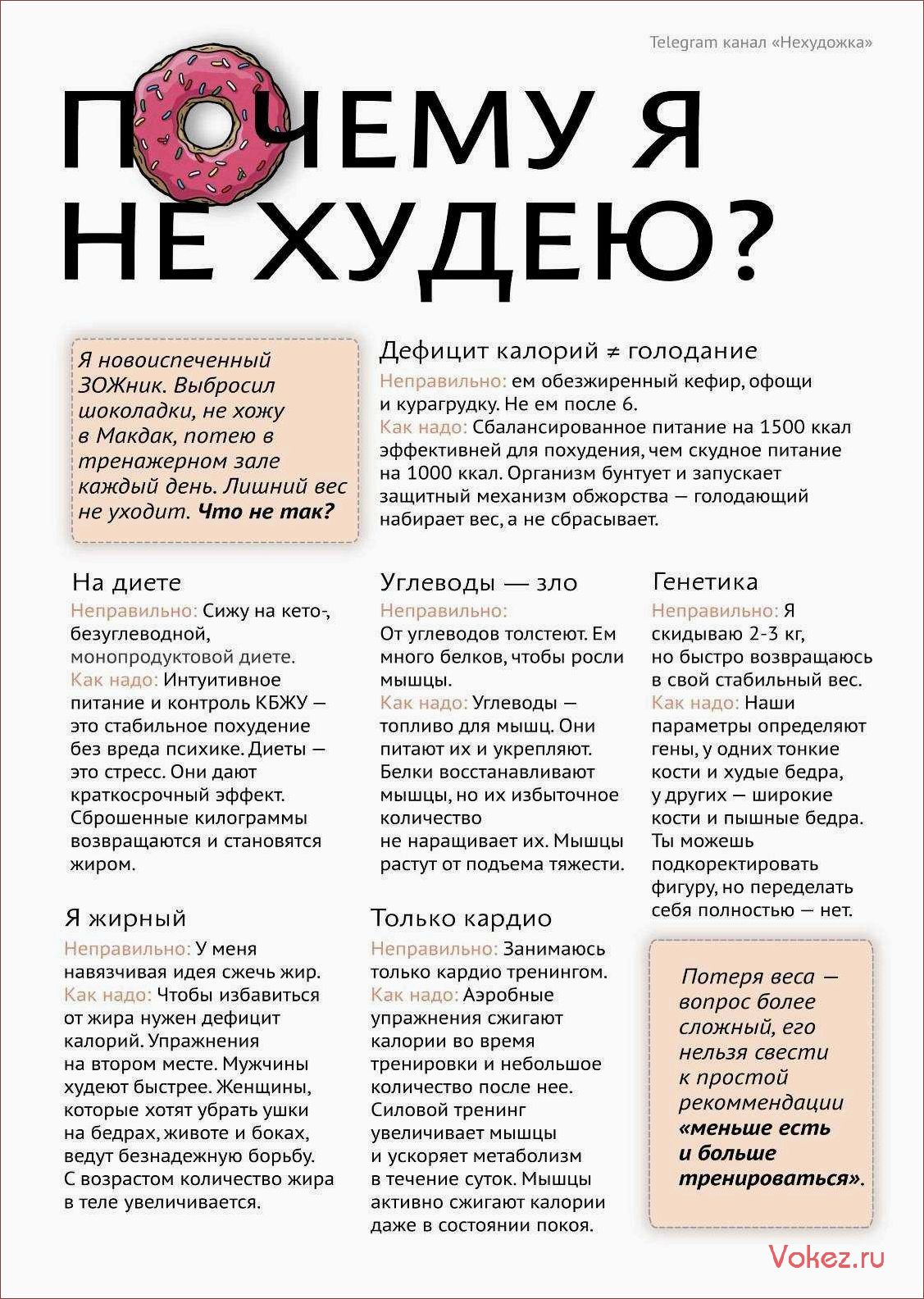 (безуглеводная, диета, секреты, здоровья, эффективного) Безуглеводная диета — секреты здоровья и эффективного похудения
