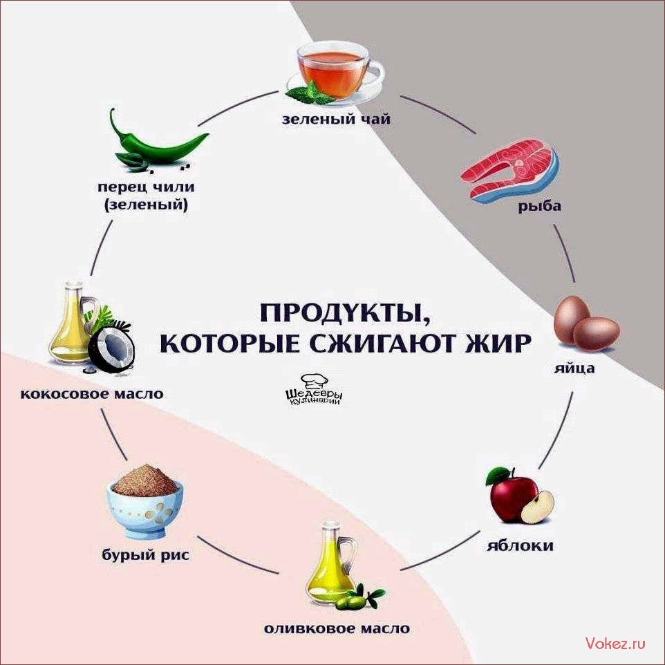 (блюда, помогут, сжечь, поддержать) Блюда, которые помогут сжечь жир и поддержать идеальную фигуру