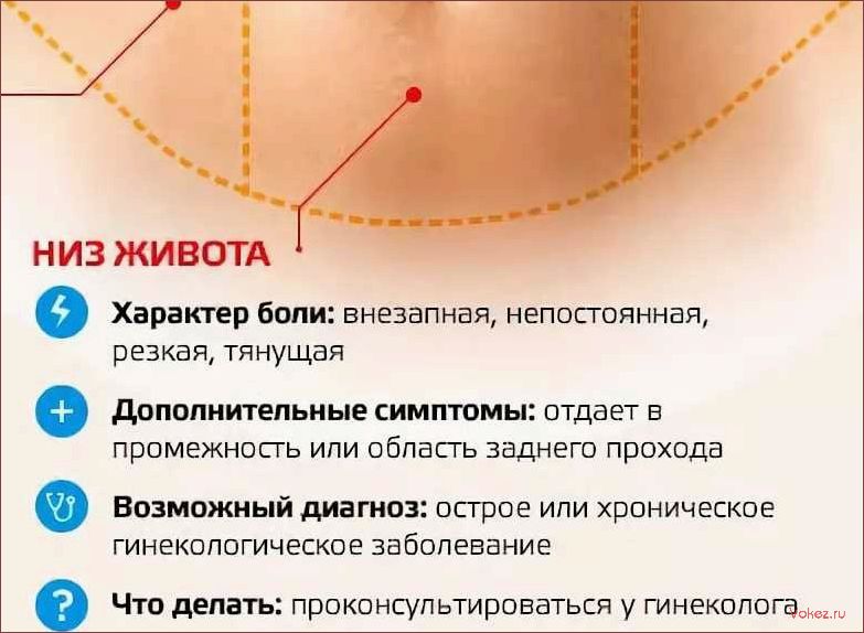 (боли, внизу, живота, месячных, причины) Боли внизу живота при месячных — причины и способы облегчения дискомфорта
