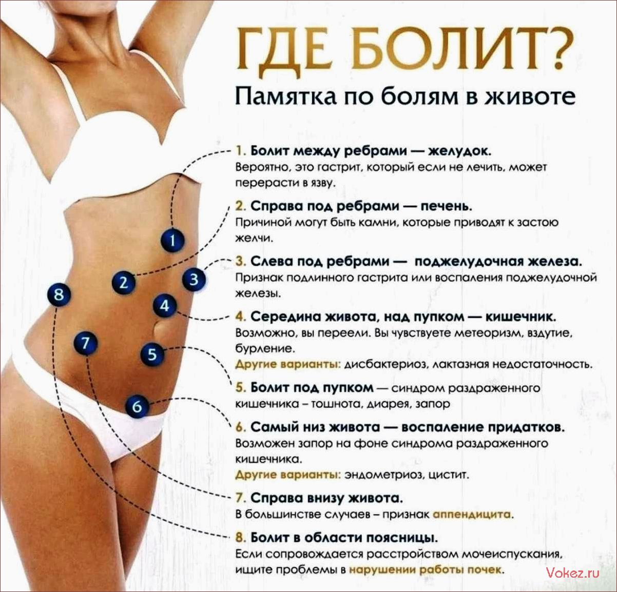 (боли, внизу, живота, месячных, причины) Боли внизу живота при месячных — причины и способы облегчения дискомфорта