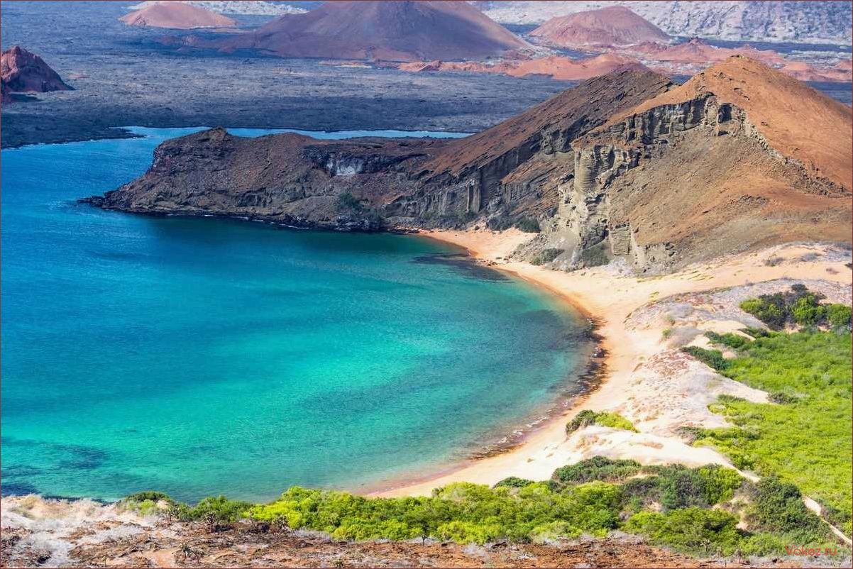 (галапагосские, острова, лучший, отдых, незабываемые) Галапагосские острова: лучший отдых и незабываемые приключения