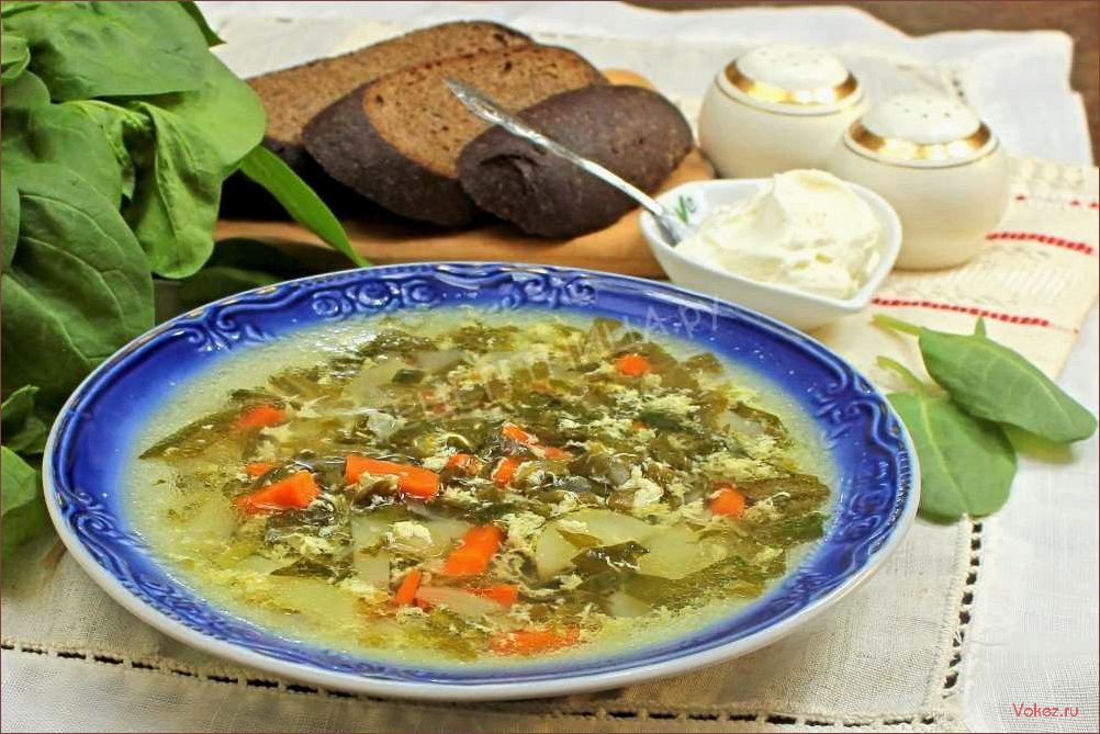 (приготовить, аппетитные, полезные, зеленые, свежего) Как приготовить аппетитные и полезные зеленые щи из свежего шпината