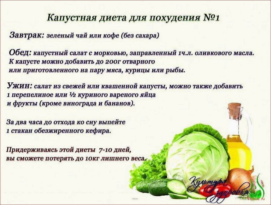 (диета, капусте, виды, капустной, диеты) Диета на капусте — все виды капустной диеты, меню, рецепты