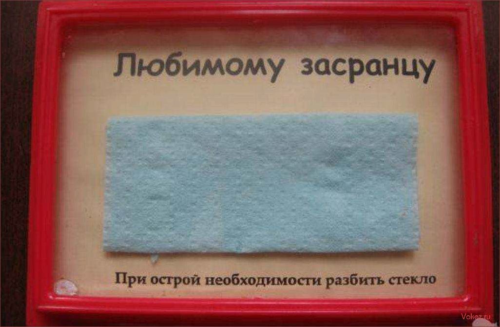 (лучшие, идеи, подарков, брата, удиви) Лучшие идеи подарков для брата — удиви своего родного с прекрасным подарком!