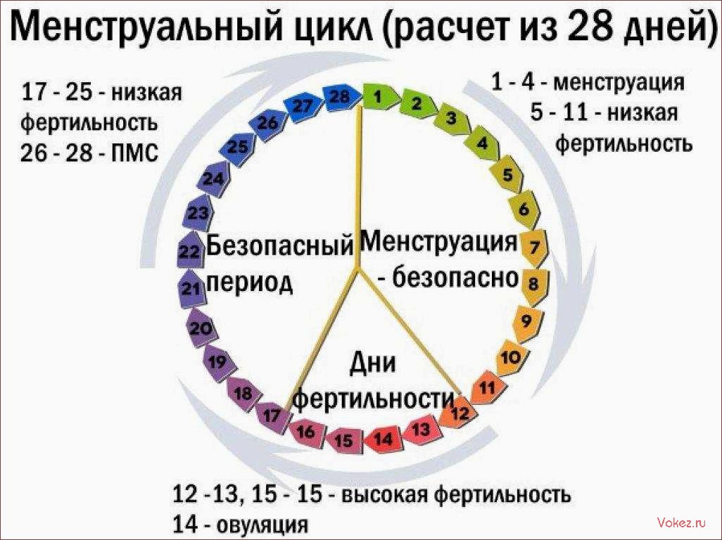 (самостоятельно, определить, предельный, возраст) Как самостоятельно определить предельный возраст, когда можно забеременеть — секреты, которые знает ваша мама