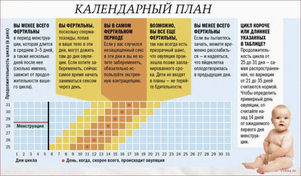 (самостоятельно, определить, предельный, возраст) Как самостоятельно определить предельный возраст, когда можно забеременеть — секреты, которые знает ваша мама