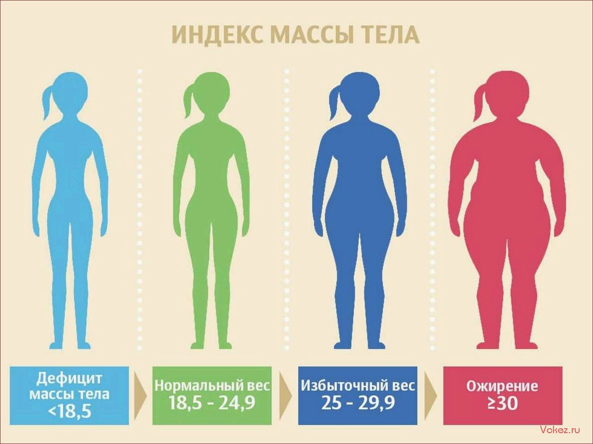 (индекс, массы, тела, калькулятор, онлайн) Индекс массы тела — калькулятор онлайн бесплатно