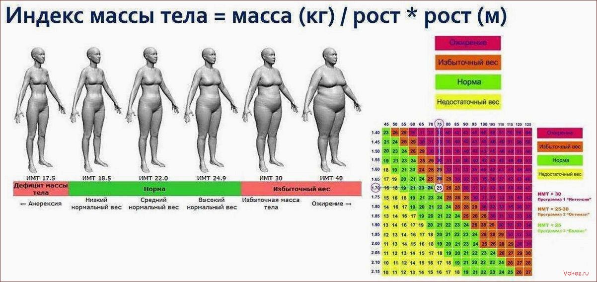 (индекс, массы, тела, калькулятор, онлайн) Индекс массы тела — калькулятор онлайн бесплатно