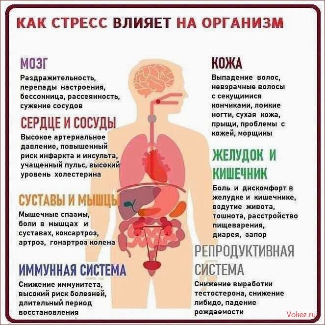 (неожиданные, продукты, плохо, влияют) Какие неожиданные продукты плохо влияют на женское интимное здоровье