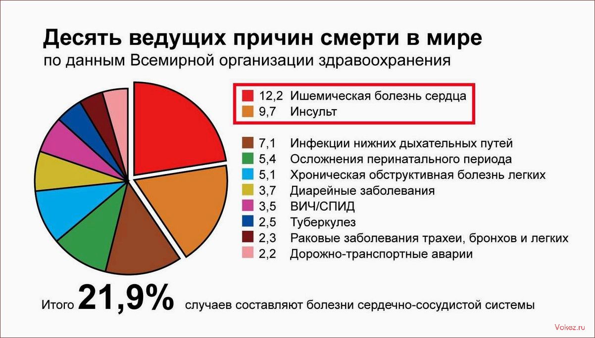 (основная, причина, смертей, сердечно-сосудистые, заболевания) Основная причина смертей — сердечно-сосудистые заболевания. Почему? Отвечает кардиолог
