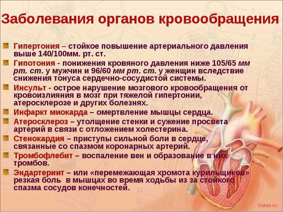 (основная, причина, смертей, сердечно-сосудистые, заболевания) Основная причина смертей — сердечно-сосудистые заболевания. Почему? Отвечает кардиолог