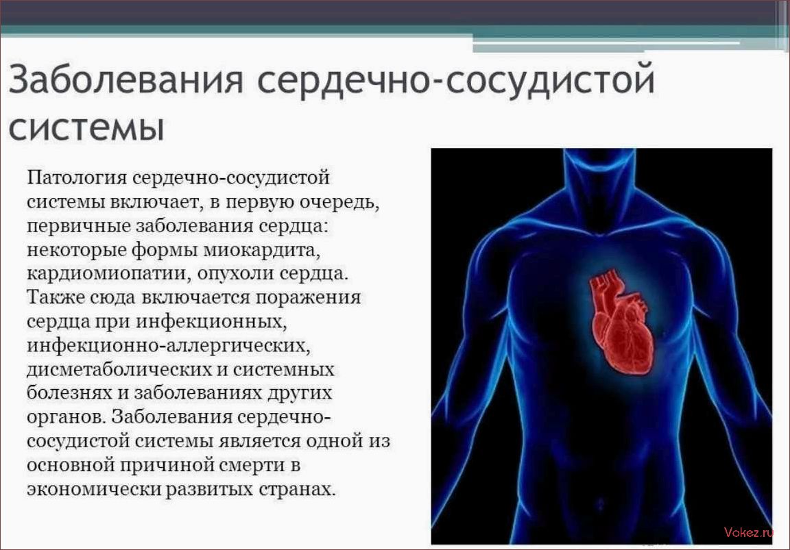 (основная, причина, смертей, сердечно-сосудистые, заболевания) Основная причина смертей — сердечно-сосудистые заболевания. Почему? Отвечает кардиолог