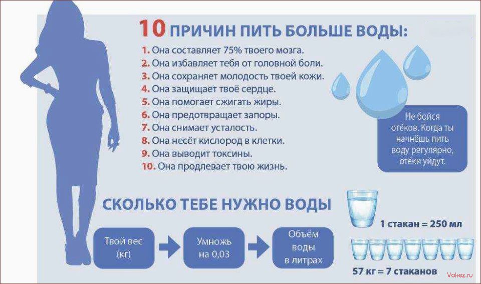 (пить, воду, важно, нашего) Почему пить воду важно для нашего здоровья и как это влияет на организм