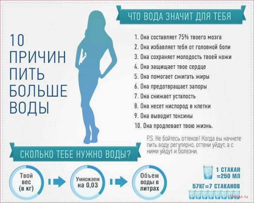 (пить, воду, важно, нашего) Почему пить воду важно для нашего здоровья и как это влияет на организм