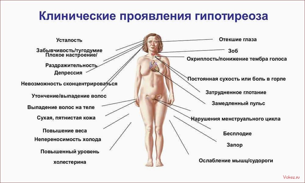(гормональный, живот, бороться, ответов) Что такое гормональный живот и как с ним бороться — 5 ответов врача